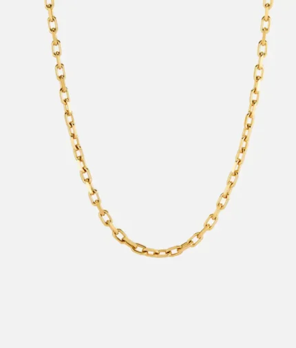 Cainte Gold Anchor Chain 3MM (2)