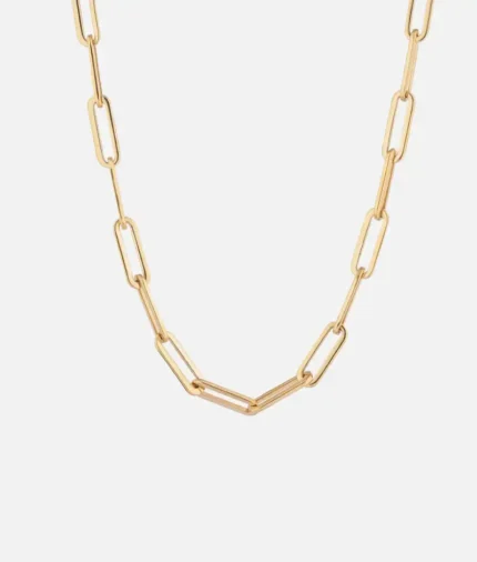 Cainte Gold Boa Chain Necklace (2)