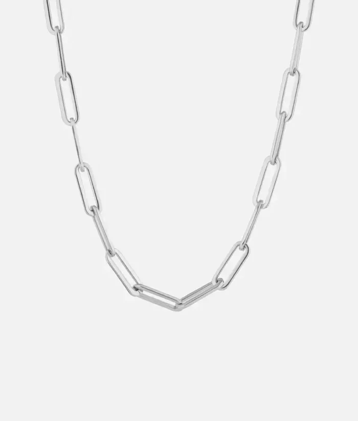 Cainte Silver Boa Chain (2)